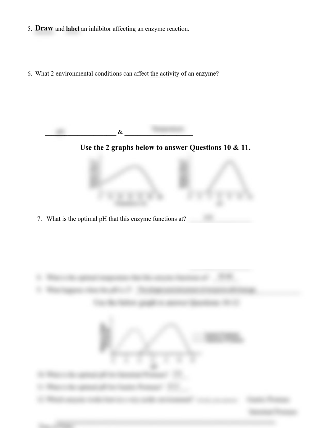 ENZYME WORKSHEET.pdf_dyepawx8e4e_page2