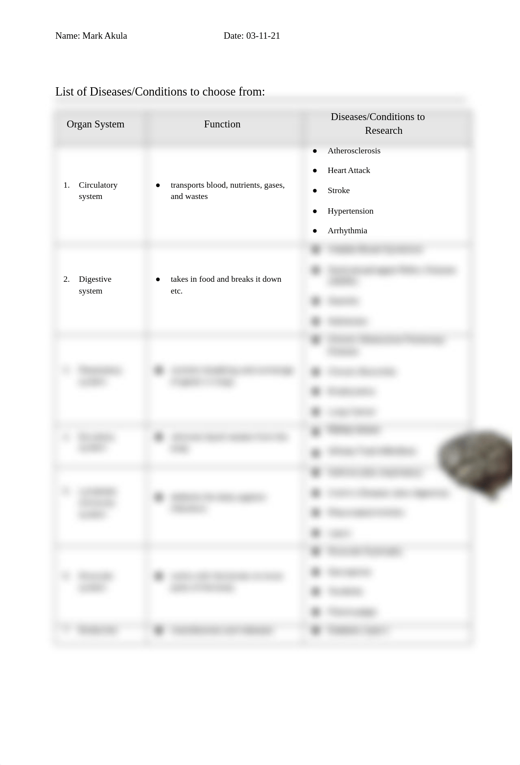 Organ Systems Rubric.docx_dyervn9ic0a_page2