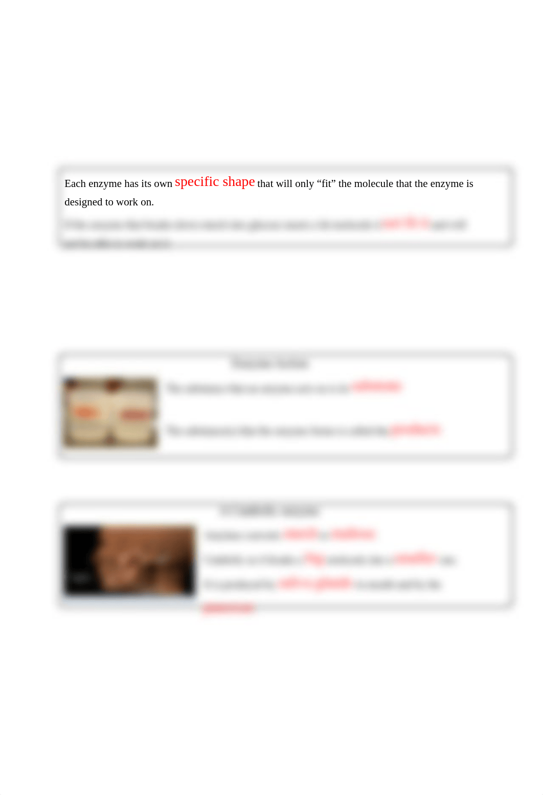 ENZYME ASSIGNMENT (5).docx_dyest04kqbs_page2