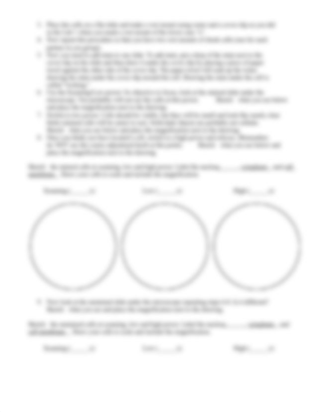 lab_ 2 _cheekcells.prn.docx_dyeuwp7upri_page2