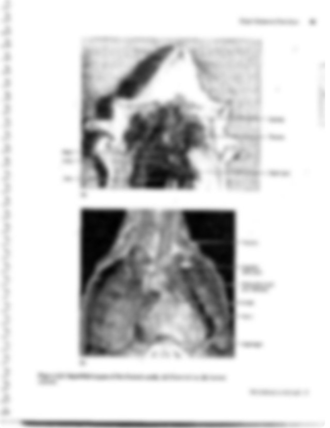 Lab_1 Language of Anatomy.pdf_dyevc1089z0_page5