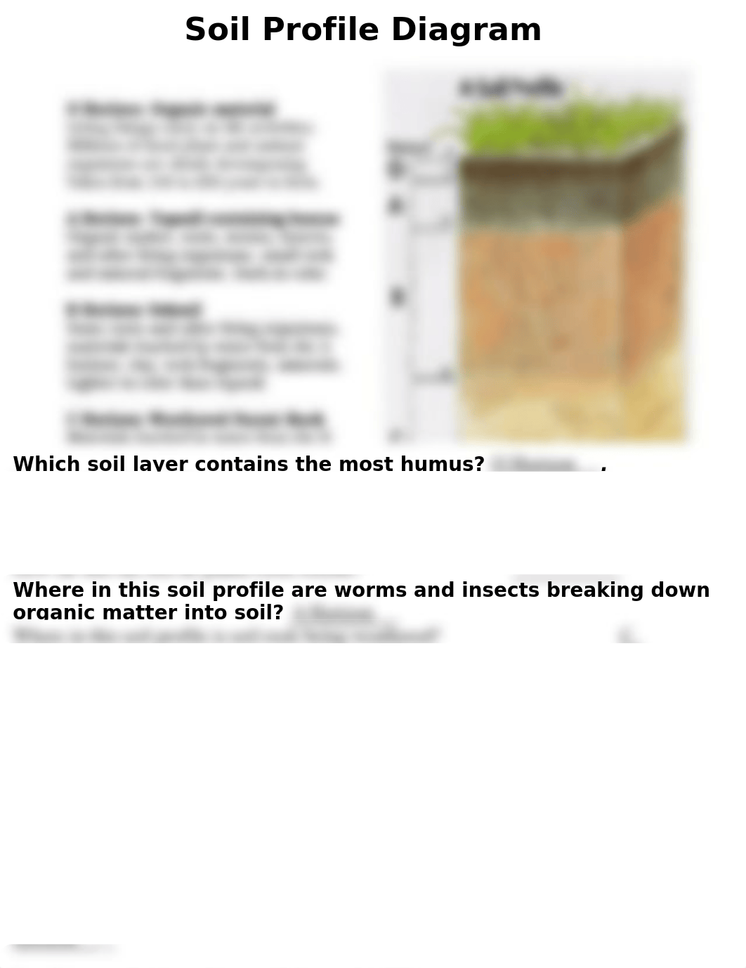 Backup of SoilProfileDiagram.wbk_dyez5im8rhr_page1