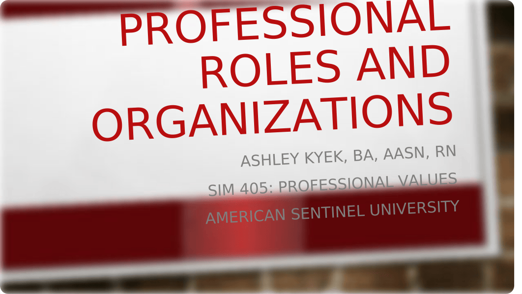 AKyek Professional Values-Professional Roles&Orgainzations.pptx_dyf1xgqj9ql_page1