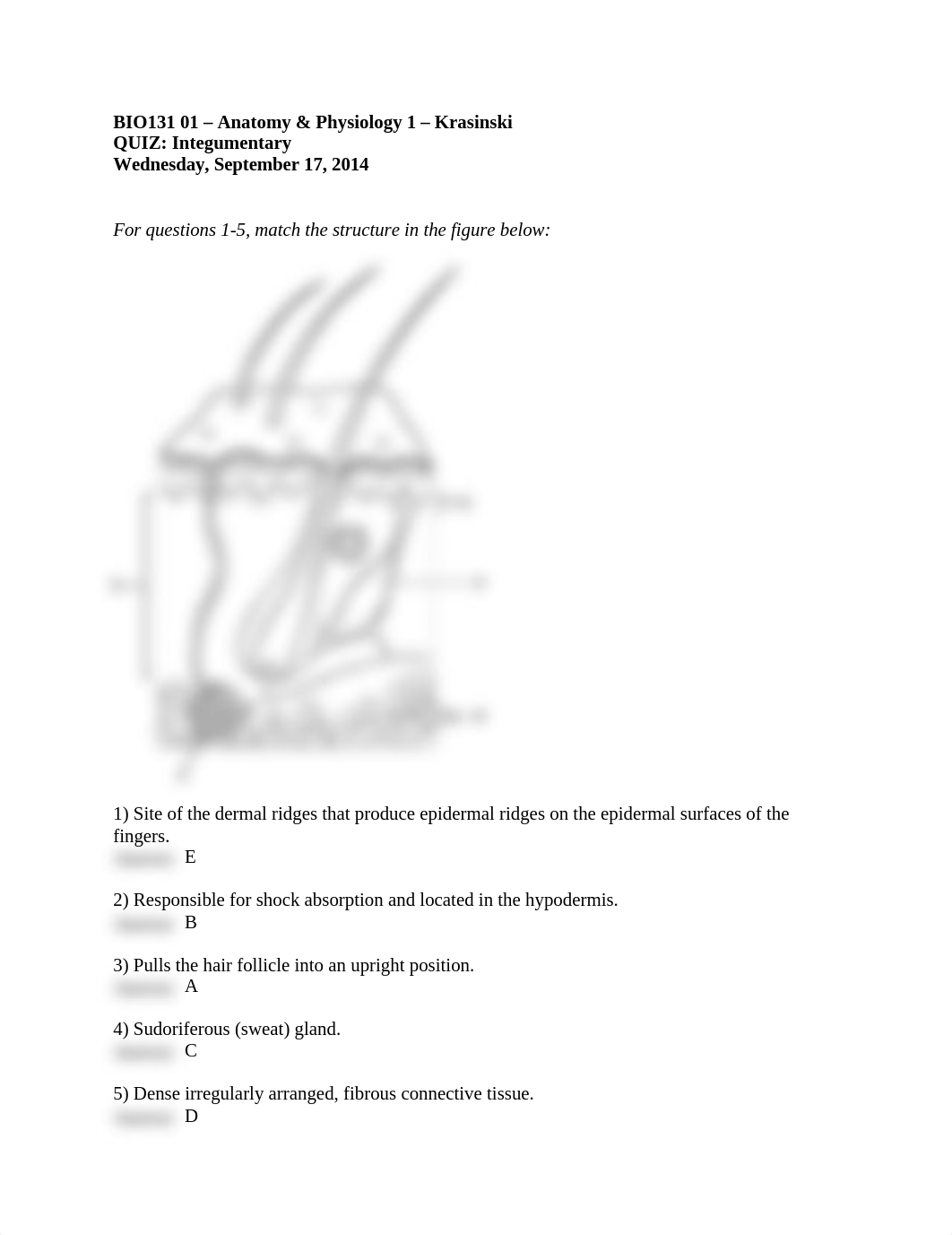 Lecture_ 2 Quiz_Integumentary_answers.doc_dyf2cpjfv21_page1