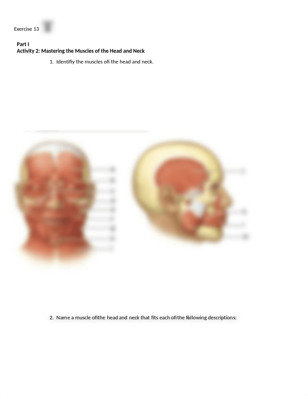 6. Unit 6 laboratory exercise 13.docx_dyf68ix0tvz_page1