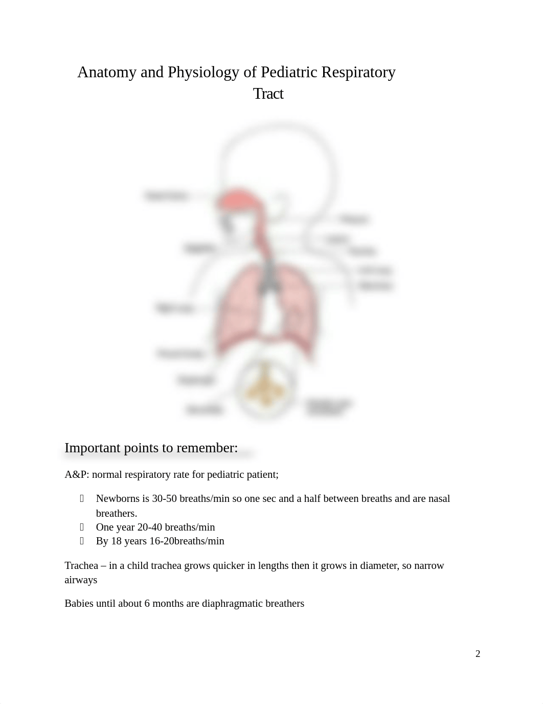 Week 5 Respiratory Concerns and Airway Management in Children F2017.docx_dyf9xsw0w8a_page2