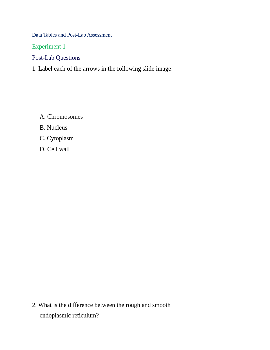 tonny biology.docx_dyfg999ccp2_page3