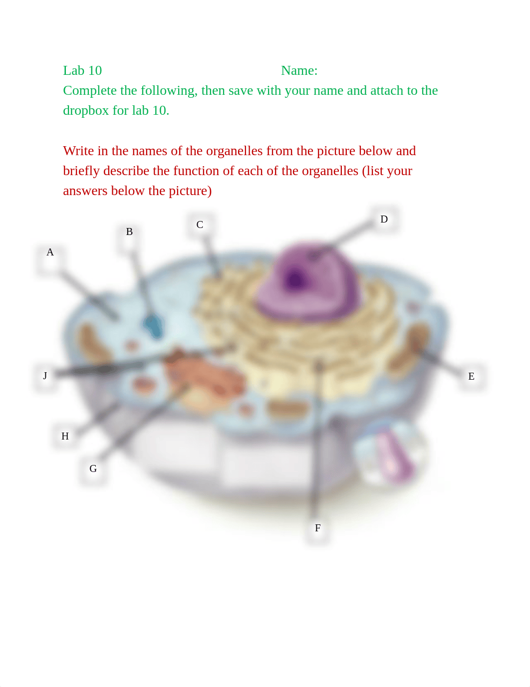 tonny biology.docx_dyfg999ccp2_page1