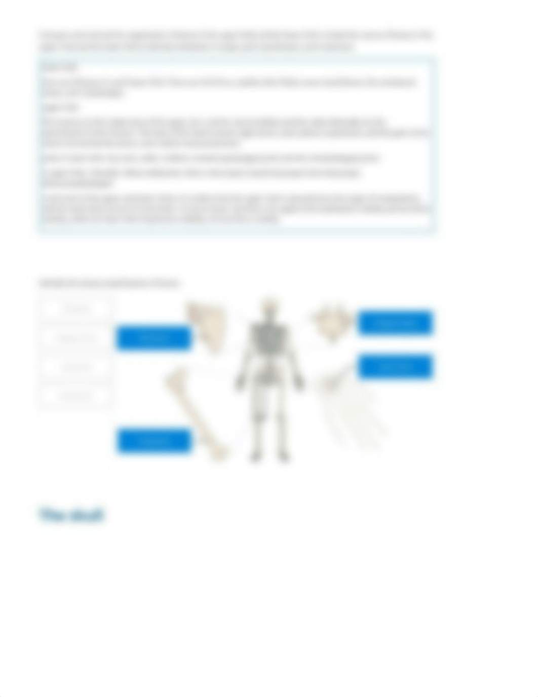 Skeletal System Model - Lab report (1).pdf_dyfkedlvwgd_page2