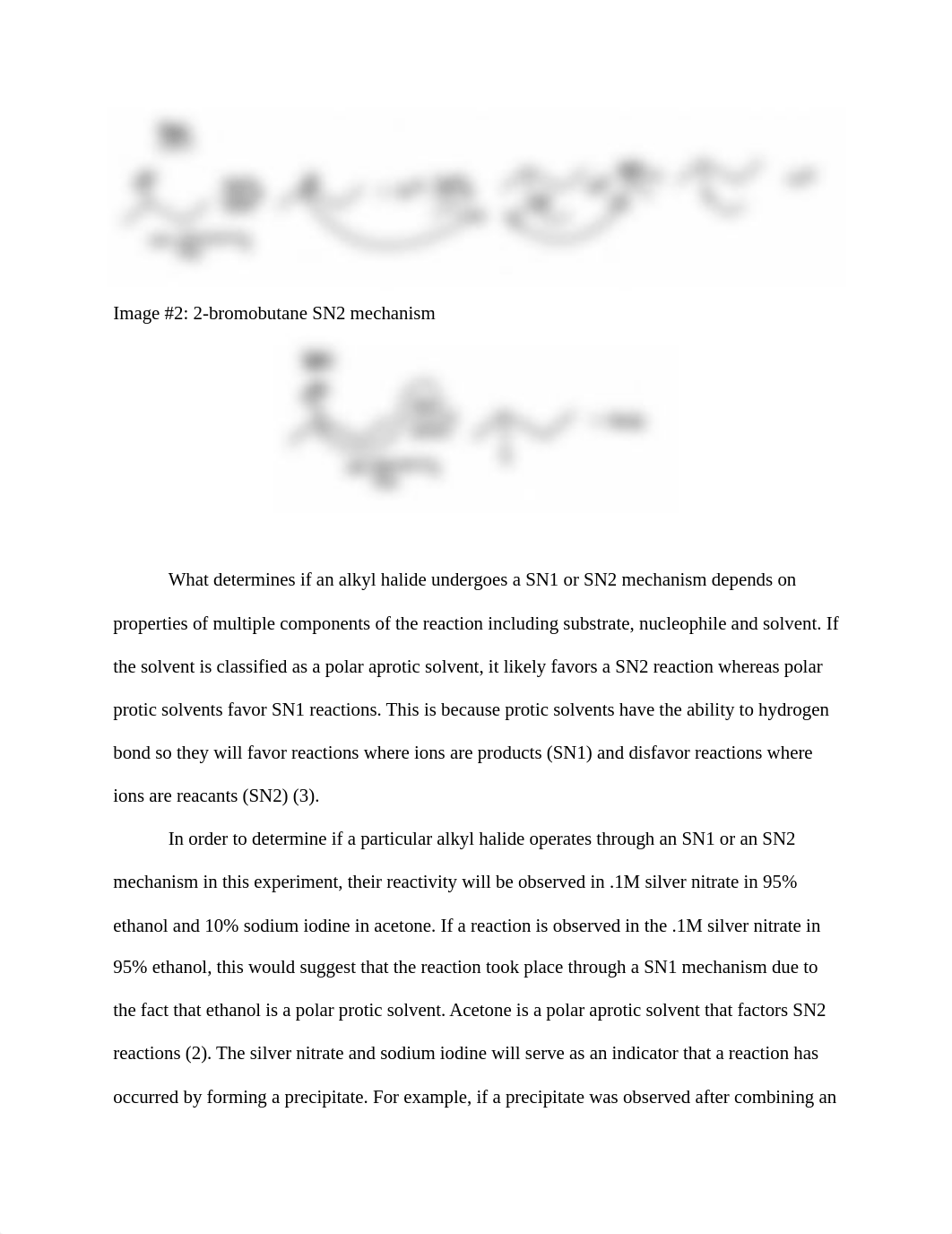 Substitution_Reactions_of_Alkyl_Halides_Lab_Report_Sylvie_Daenen_dyfnt2r2ivy_page2