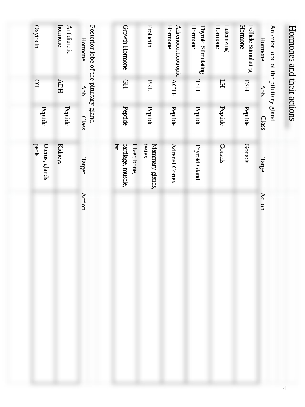 BIOL1112 - Chapter 17- Endocrine System Notes (1).pdf_dyfpjdxi85o_page4