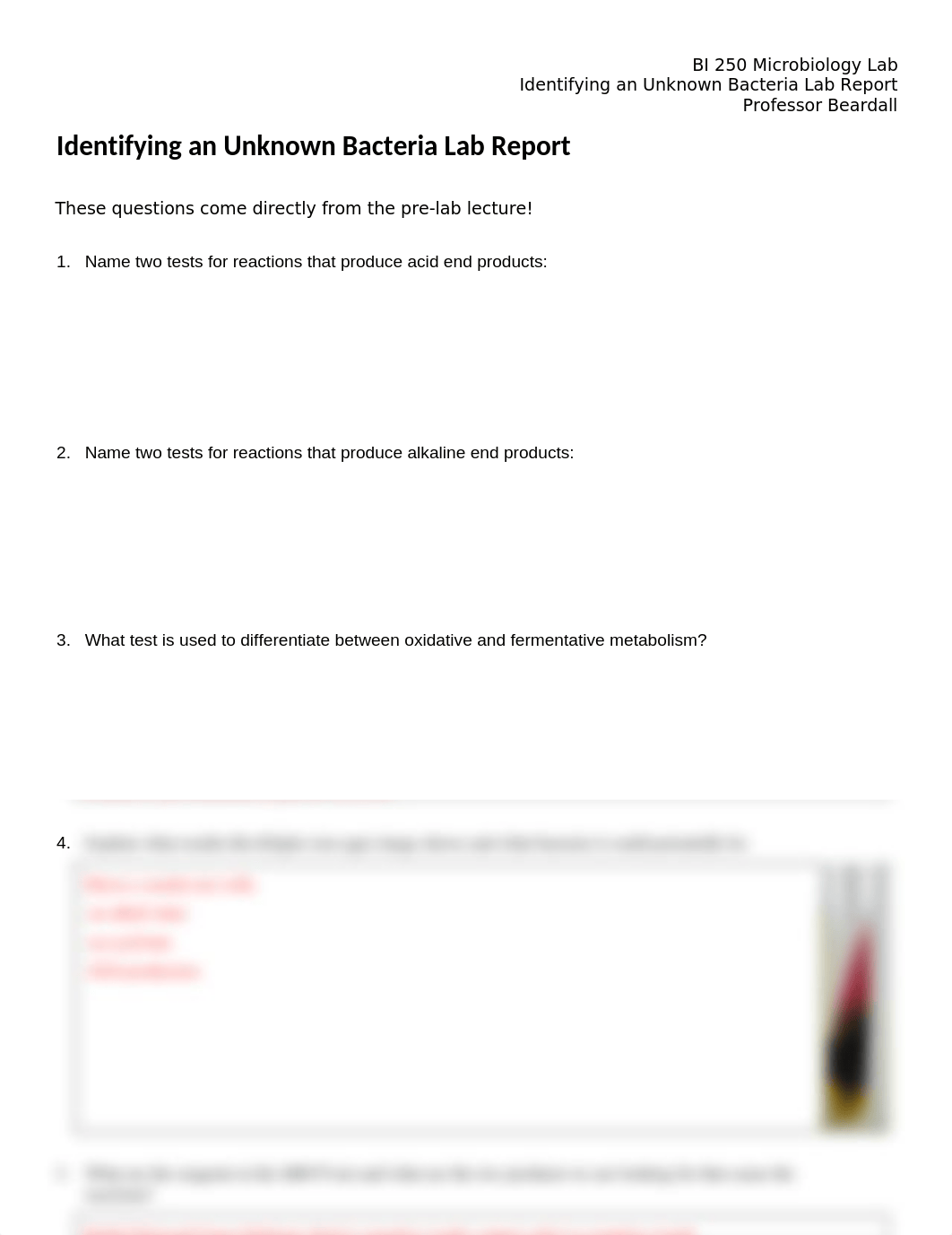 Identifying Unknown Bacteria Lab Report.docx_dyfsbndfkru_page1