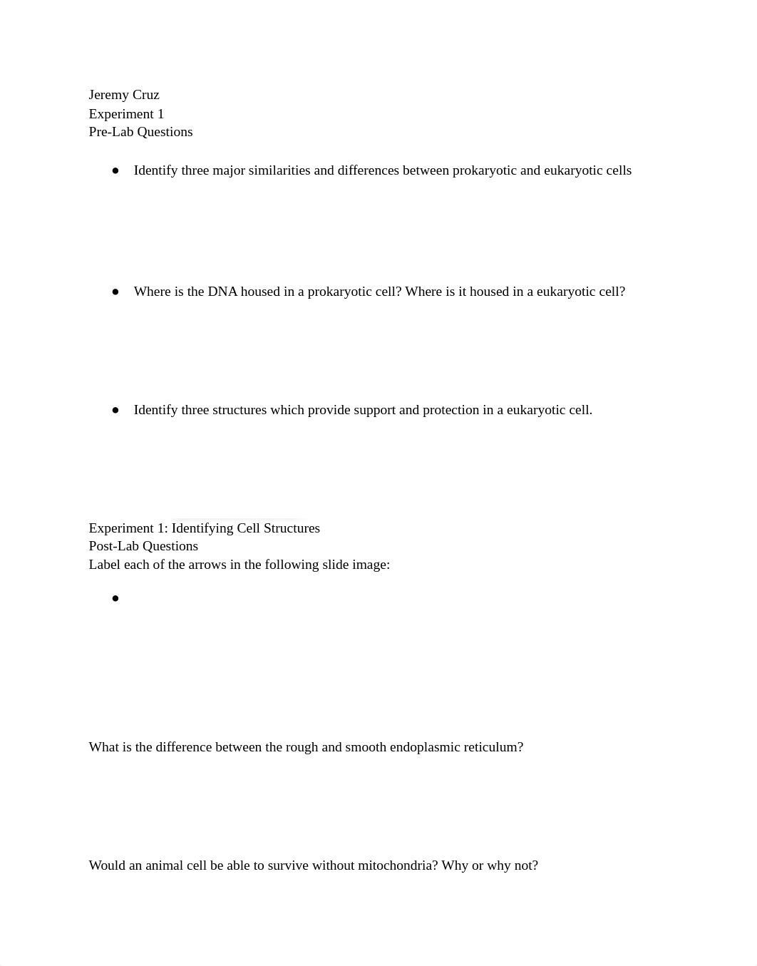 Lab 2 - Google Docs.pdf_dyfziuj9vm6_page1