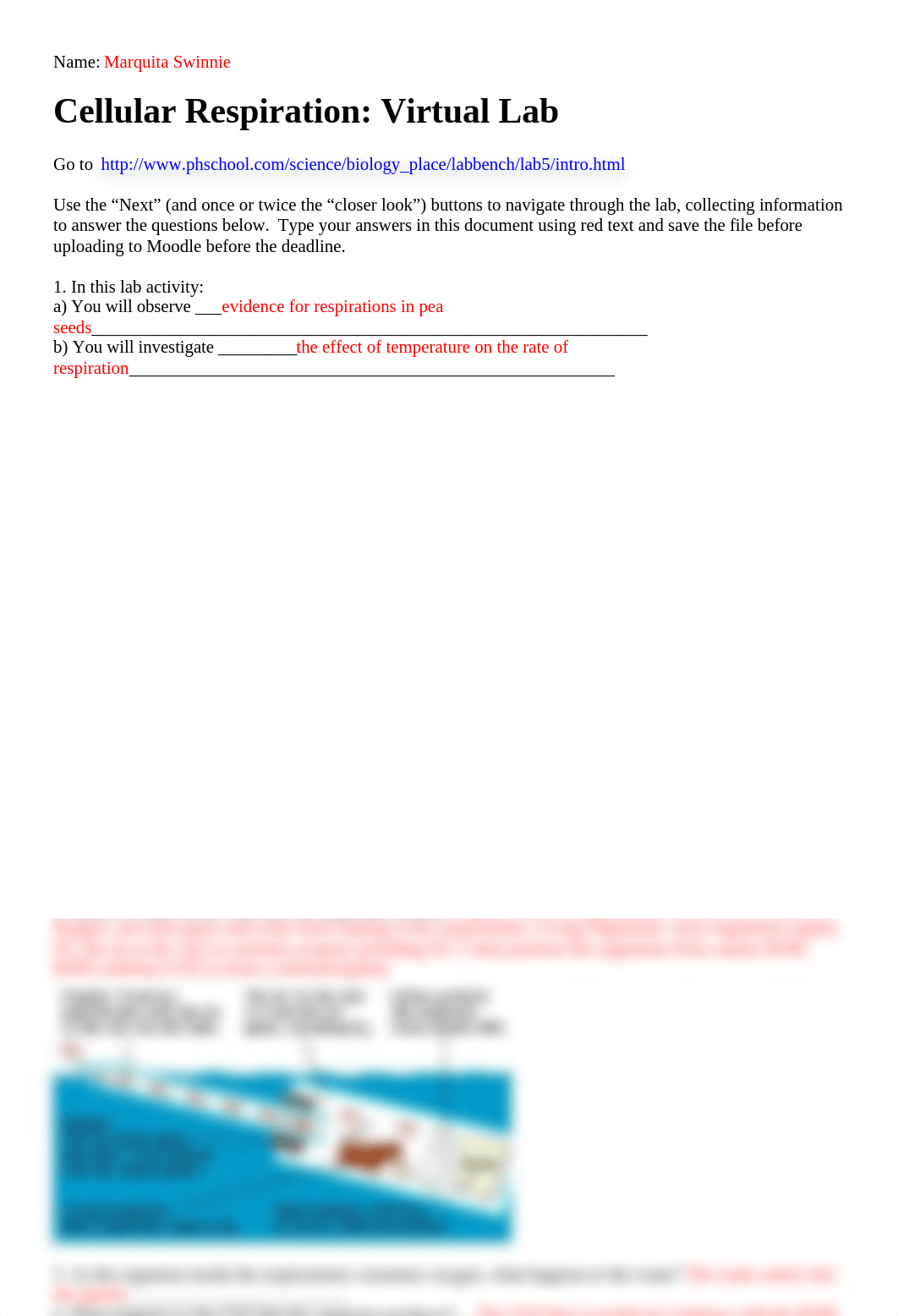 Bio 101 Virtual lab Cellular Respiration.docx_dyg1hvfk5pw_page1