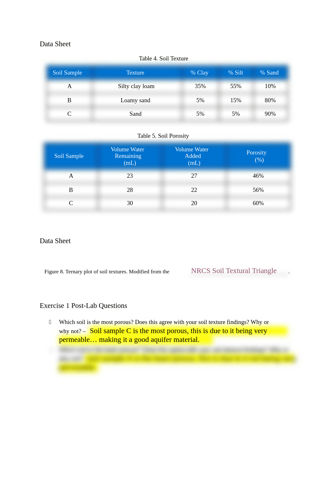 LAB 8.docx_dyg5wot1gv7_page2