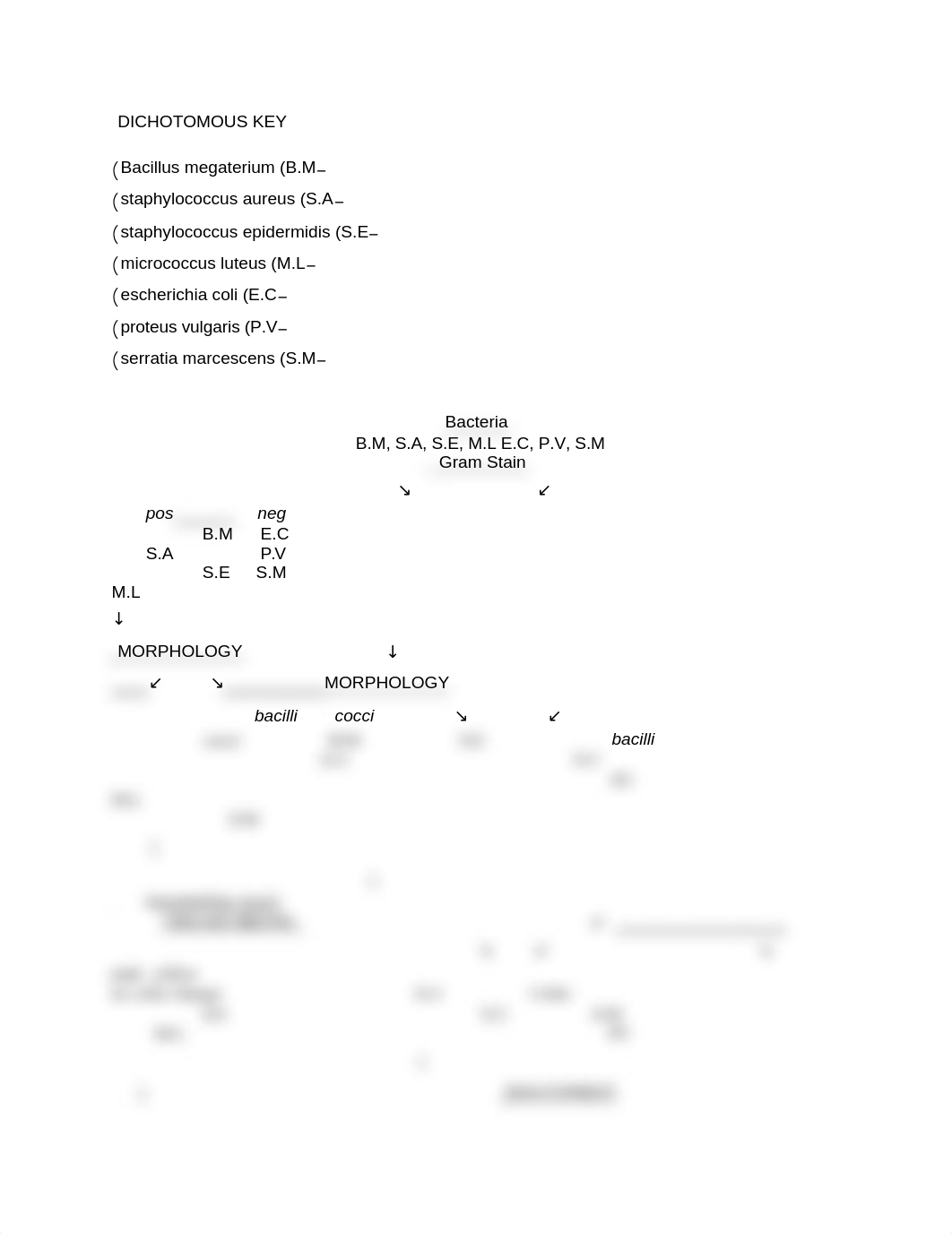 DICHOTOMOUS KEY-4.docx_dyge8ef5xo5_page1