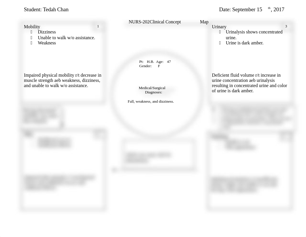 NUR202 Concept Map H.B..docx_dygggvzmctn_page1