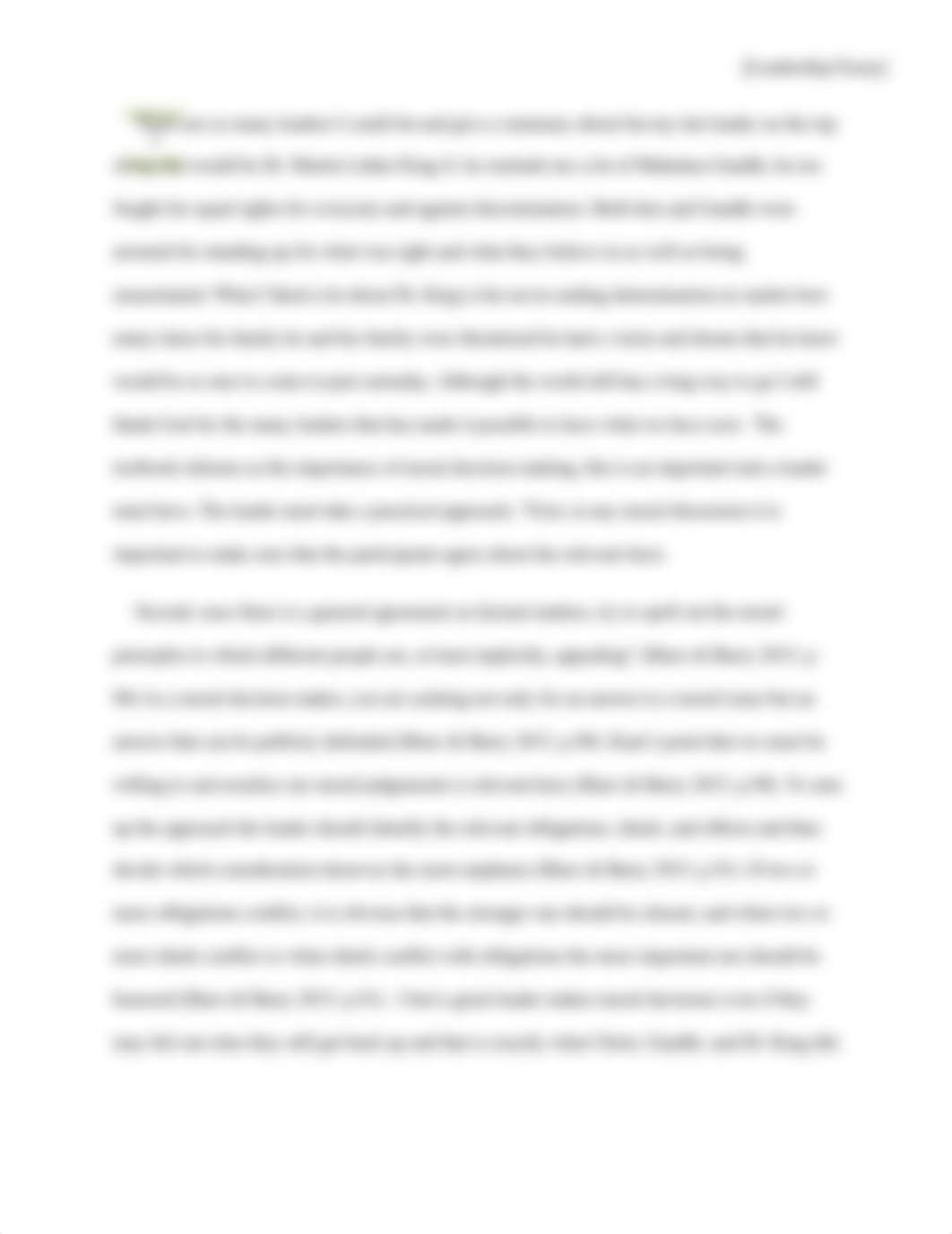 Individual Leadership Essay.docx_dygkcp7vl34_page3