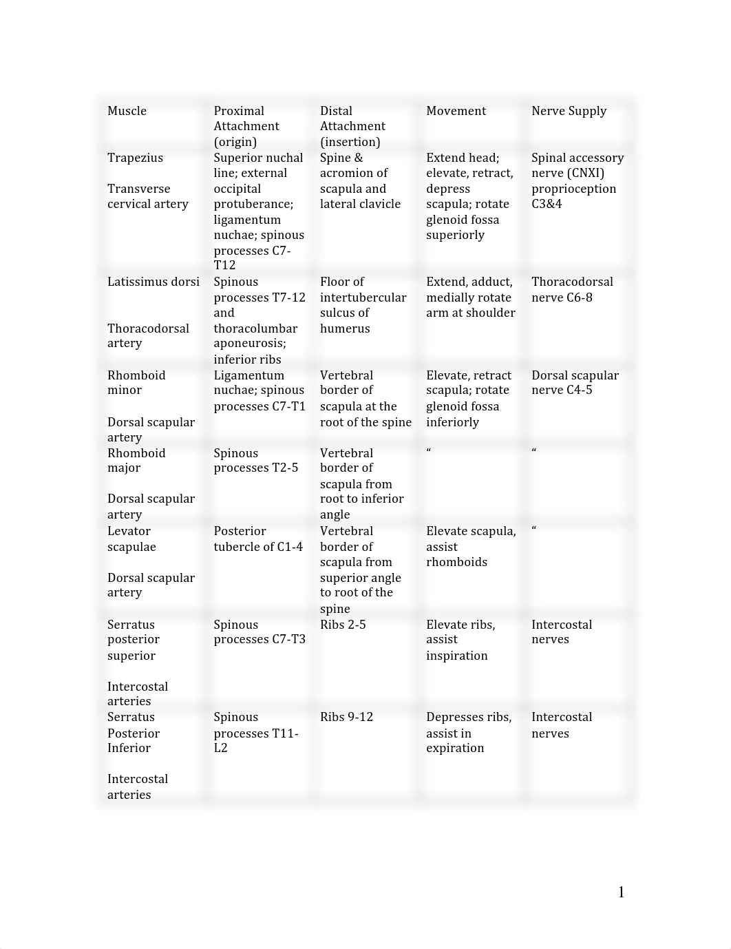 muscle charts first block key.pdf_dygnsix6v6n_page1