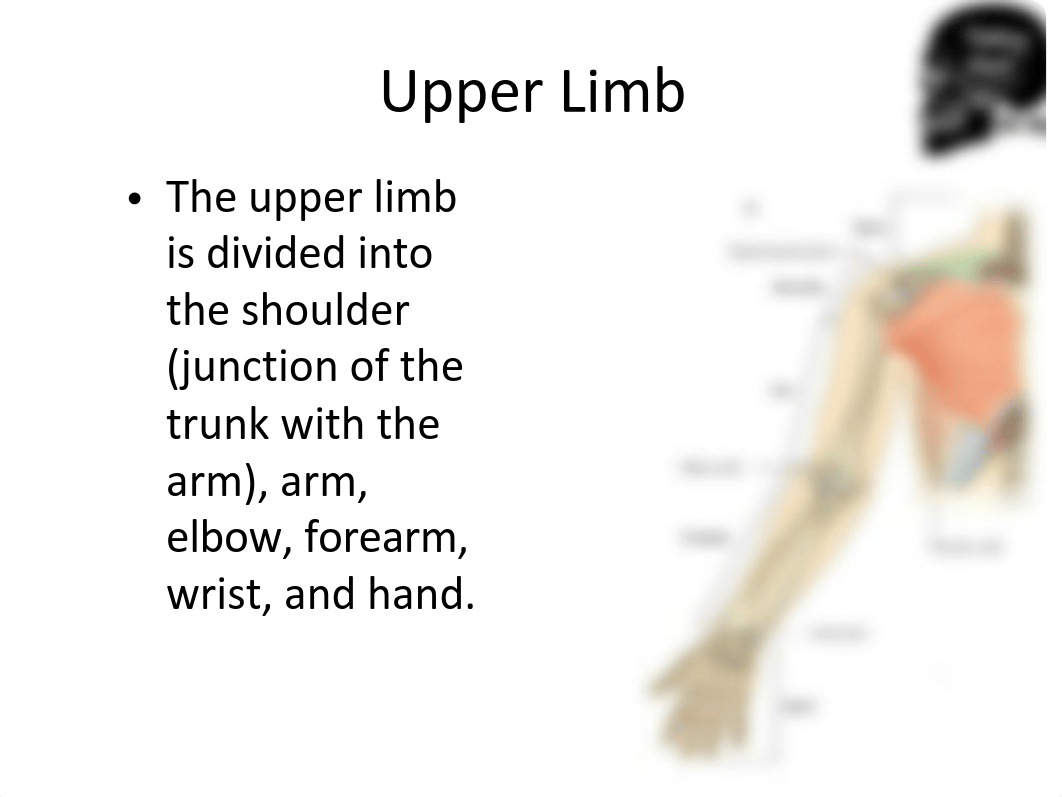 1.Upper Limb-Brachial Plexus.pdf_dyhf9t7ox2d_page3