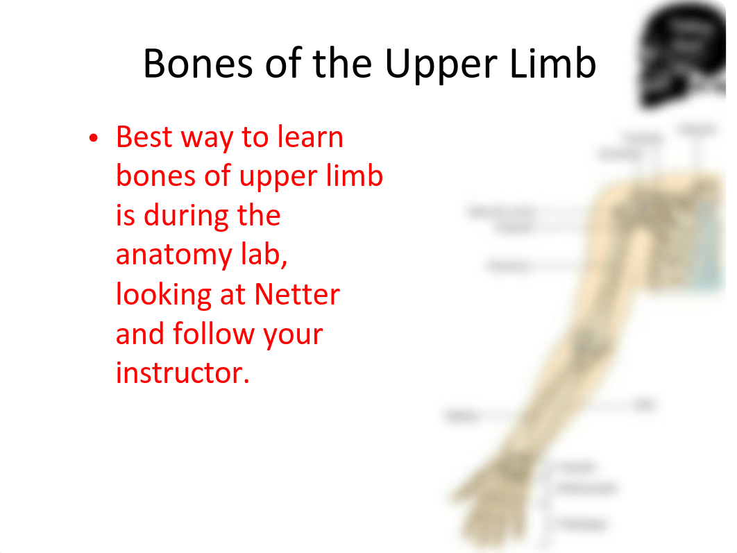 1.Upper Limb-Brachial Plexus.pdf_dyhf9t7ox2d_page5