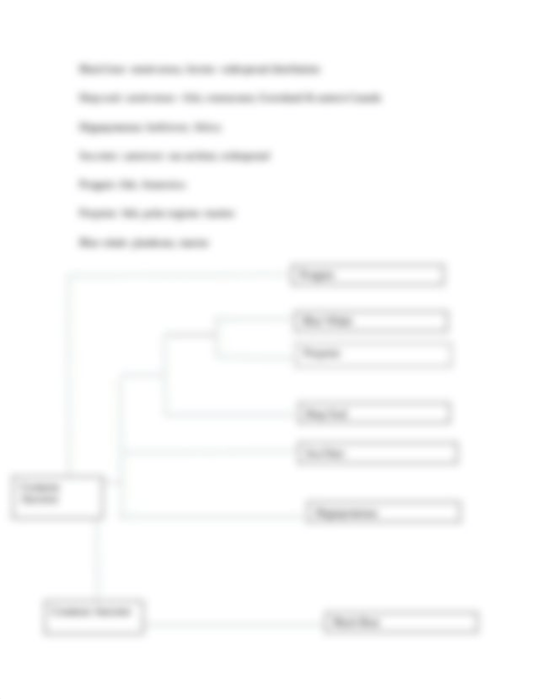 Whippo Data Collection Sheet- Jamalleden Arabstani-General Biology.pdf_dyhum1rapx3_page2