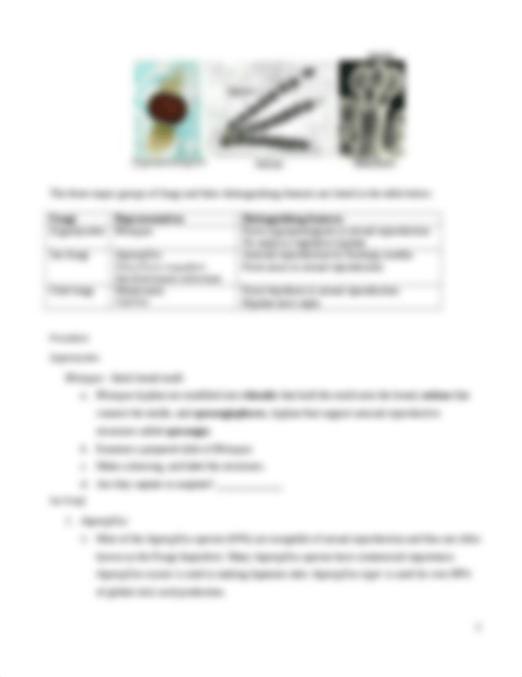 Lab 14_Fungi.docx_dyhuw6zendm_page2