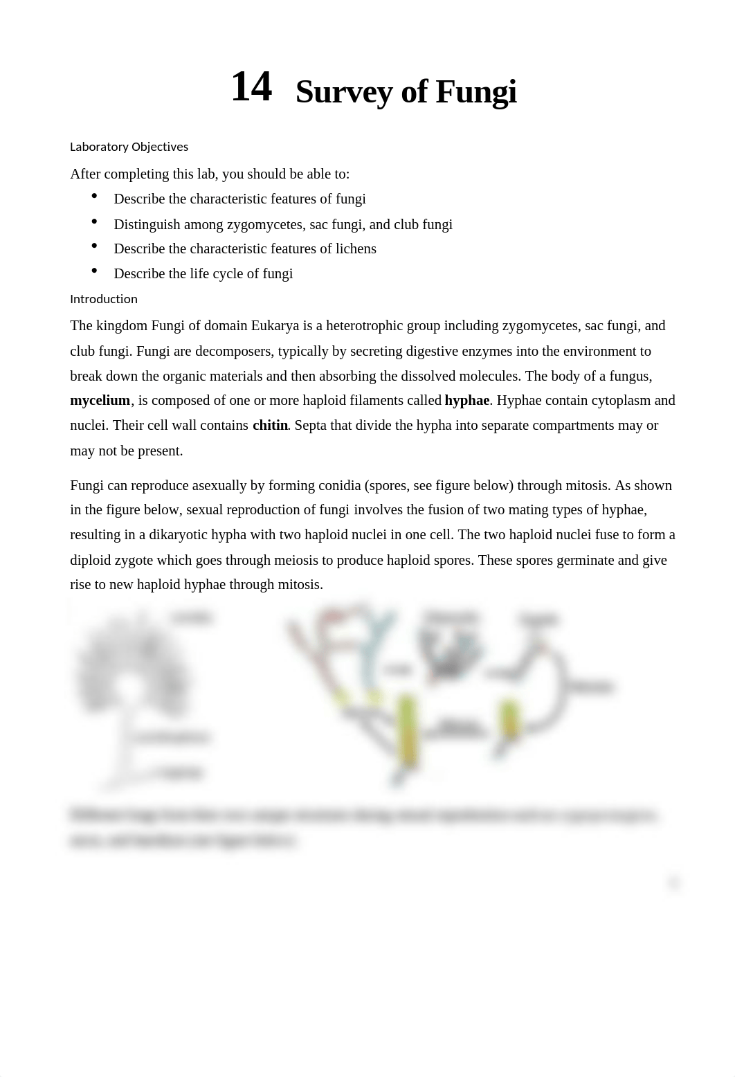 Lab 14_Fungi.docx_dyhuw6zendm_page1