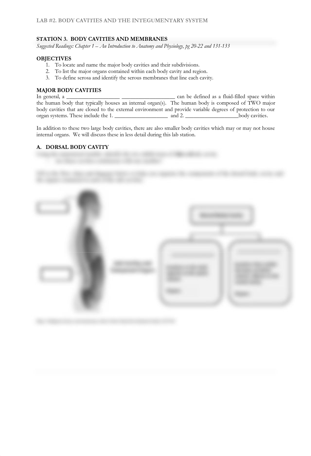 2 Station 3 Handout Body Cavities and Membranes LSB Edits-1_dyi19rqs9az_page1