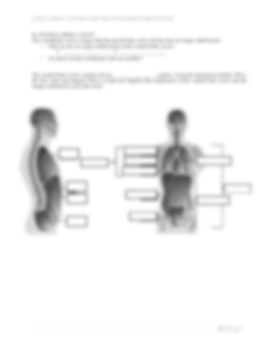 2 Station 3 Handout Body Cavities and Membranes LSB Edits-1_dyi19rqs9az_page2