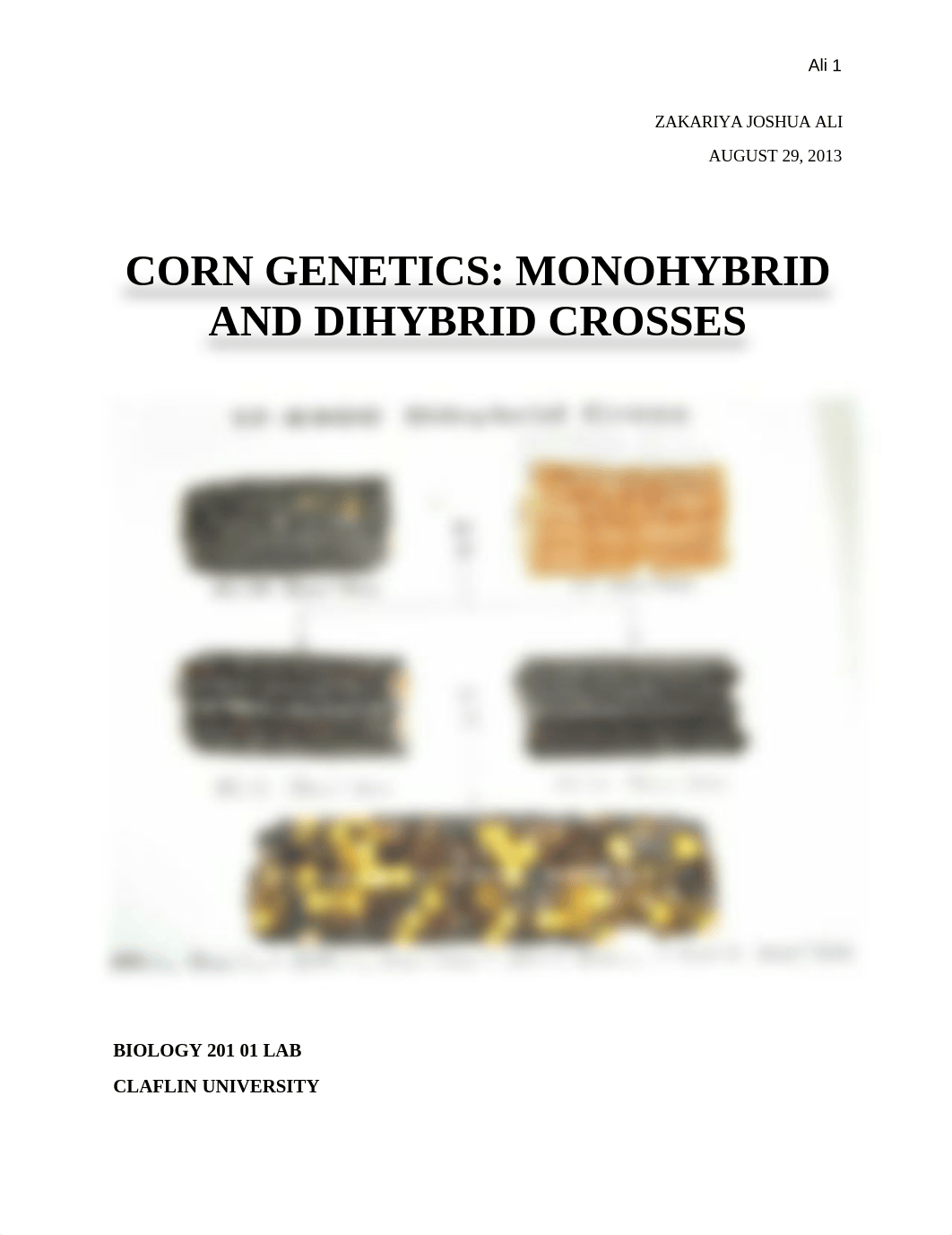 Monohbrid & Dihybrid Lab_dyi1qvz2dd3_page1