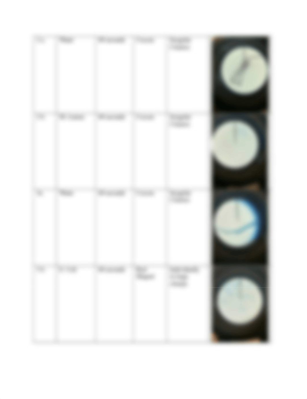 Simple Vs Differential Staining .docx_dyi3302z2ct_page5