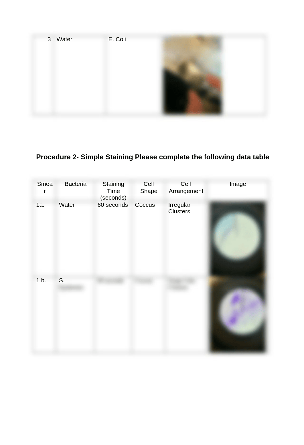 Simple Vs Differential Staining .docx_dyi3302z2ct_page4