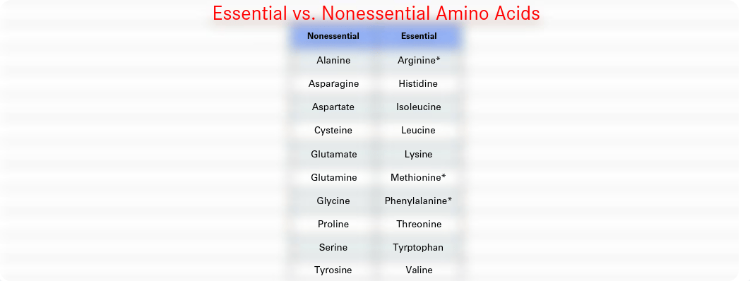 8. Olson - Amino Acid Metabolism II_dyic3a4mcmf_page3