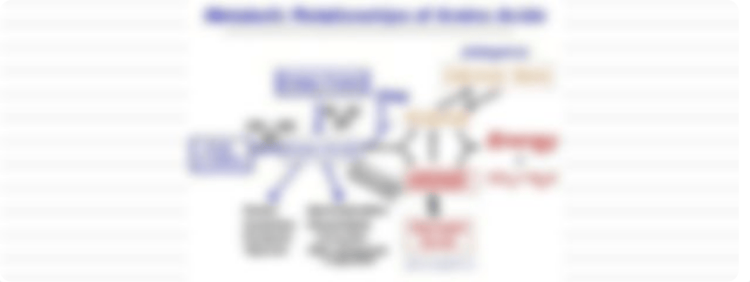 8. Olson - Amino Acid Metabolism II_dyic3a4mcmf_page1