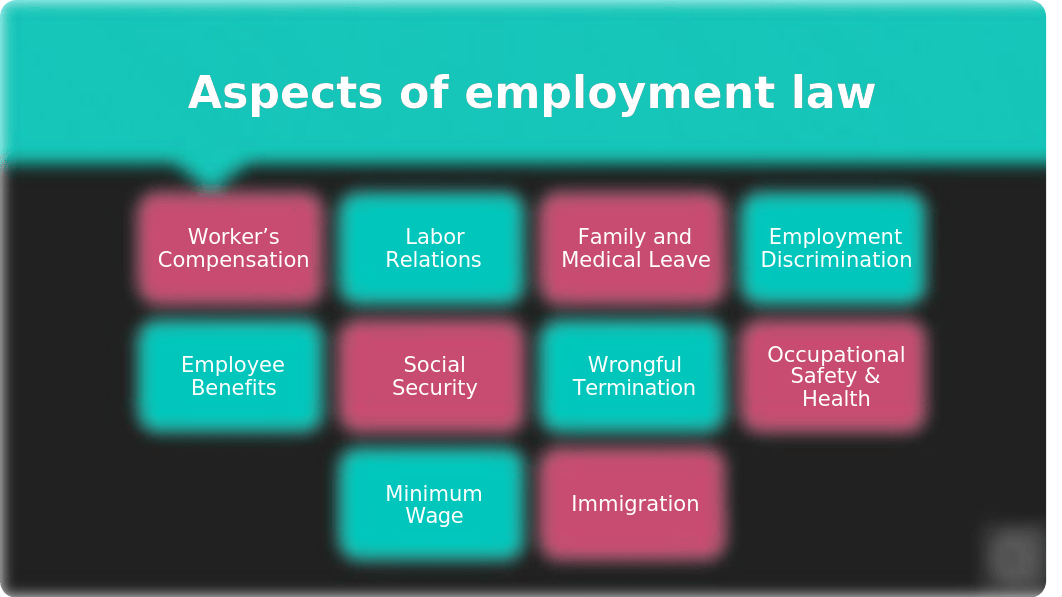 HAD 554 Employment Law Project.pptx_dyico0mfjyj_page3