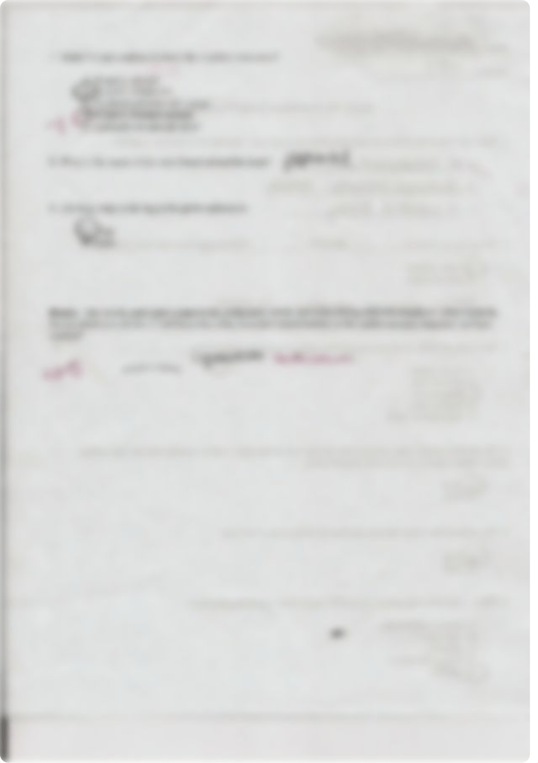 Anatomy Lab Quiz The Circulatory System_dyict2rrr4z_page2