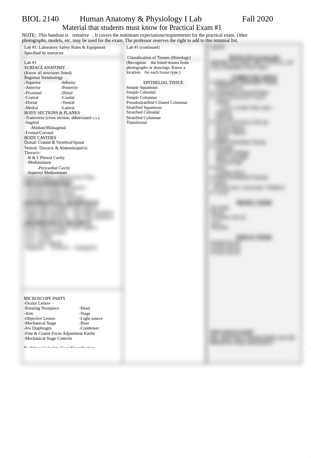 2140 Practical 1 FA20.docx_dyidcvtd8jp_page1