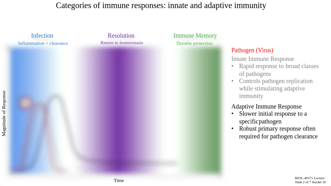 Lecture 1c_Categories of Immune Responses.pdf_dyij5byo6vc_page5