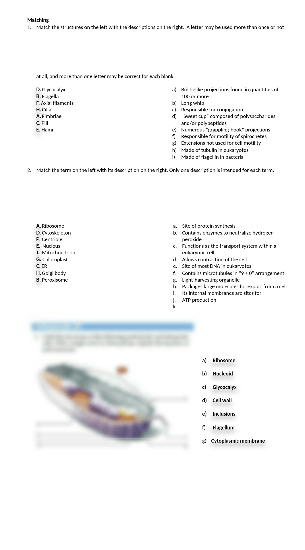 05 Assigment 2 - Cell Structure and Function.docx_dyin4znjksu_page2