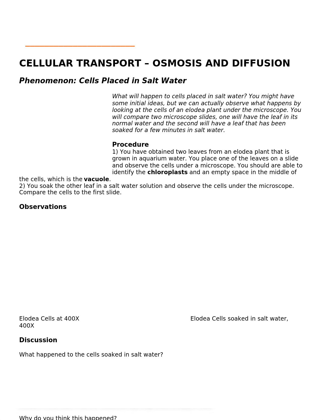 Module 2 Lab 2 Cell Transport (3).docx_dyisaxxvdbd_page1