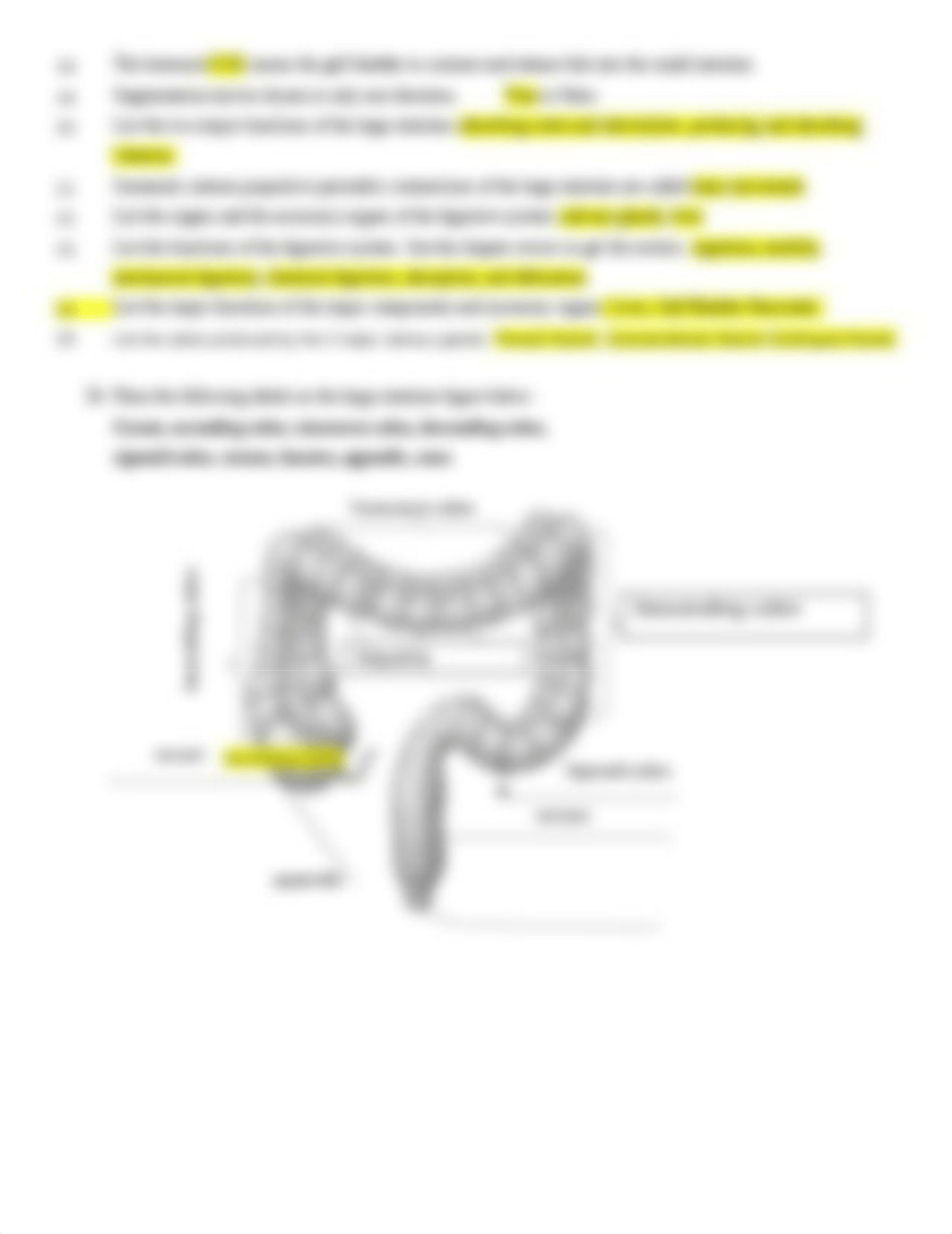 Digestive System Worksheet (1) (1).docx_dyiuun27j1n_page3