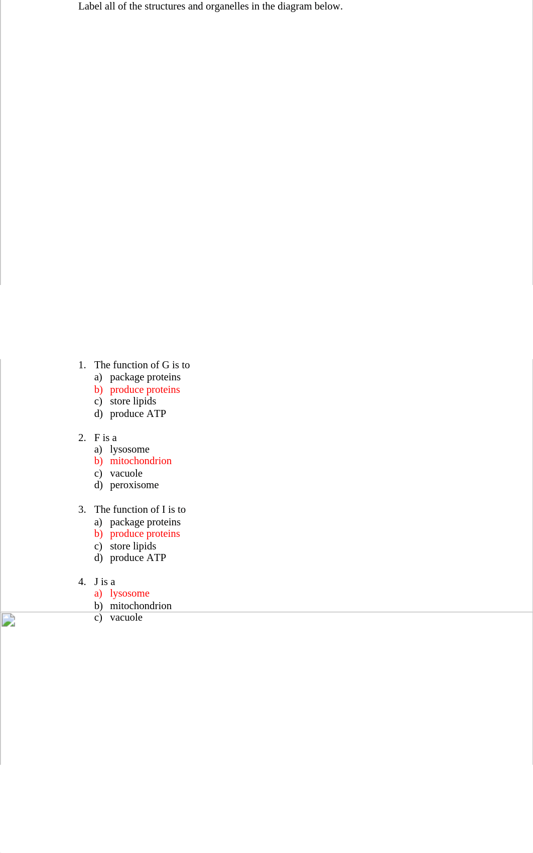 cell worksheet answers_dyiz964jbjs_page1