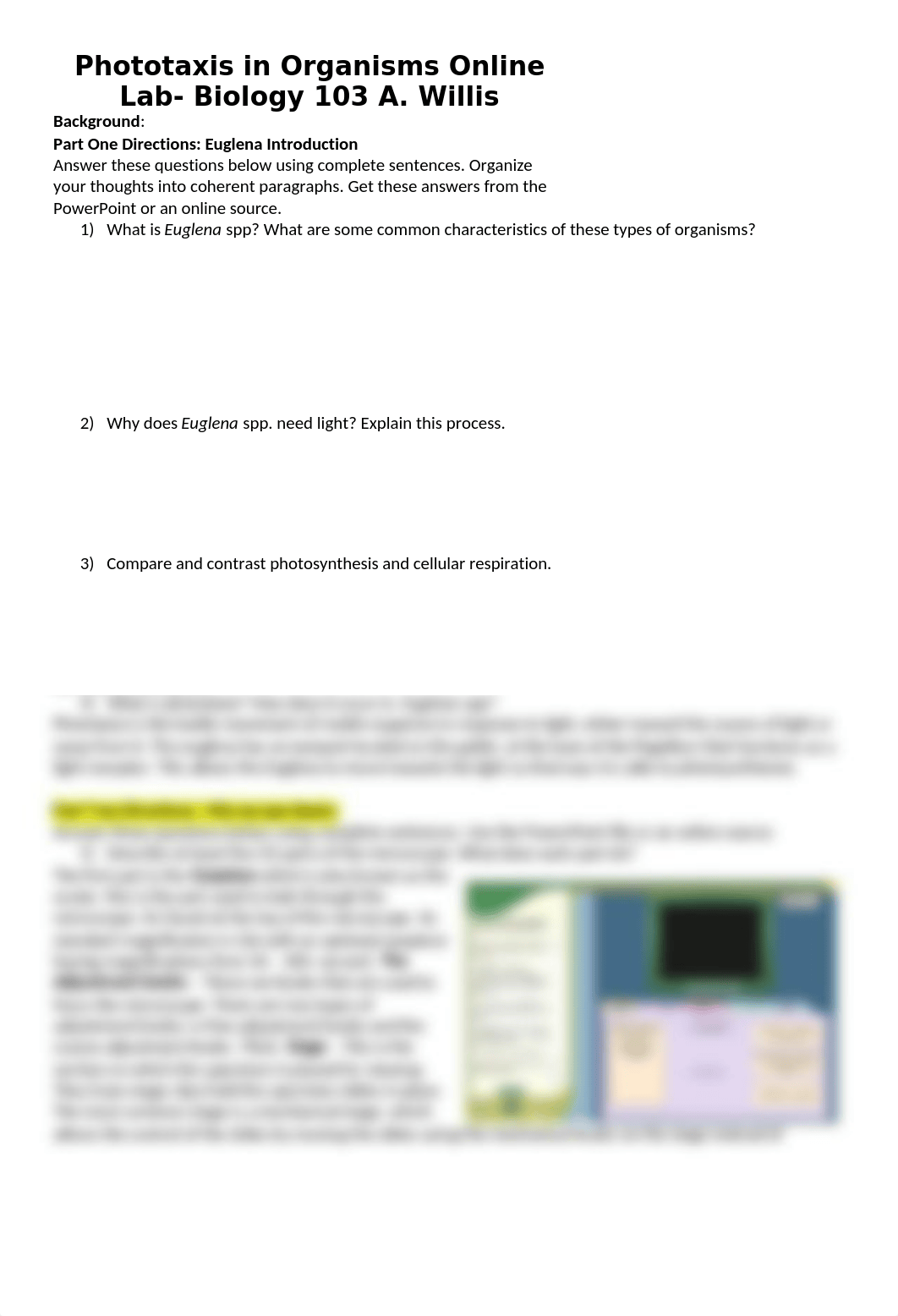 Phototaxis Online Lab 2.doc_dyj0xembgyx_page1