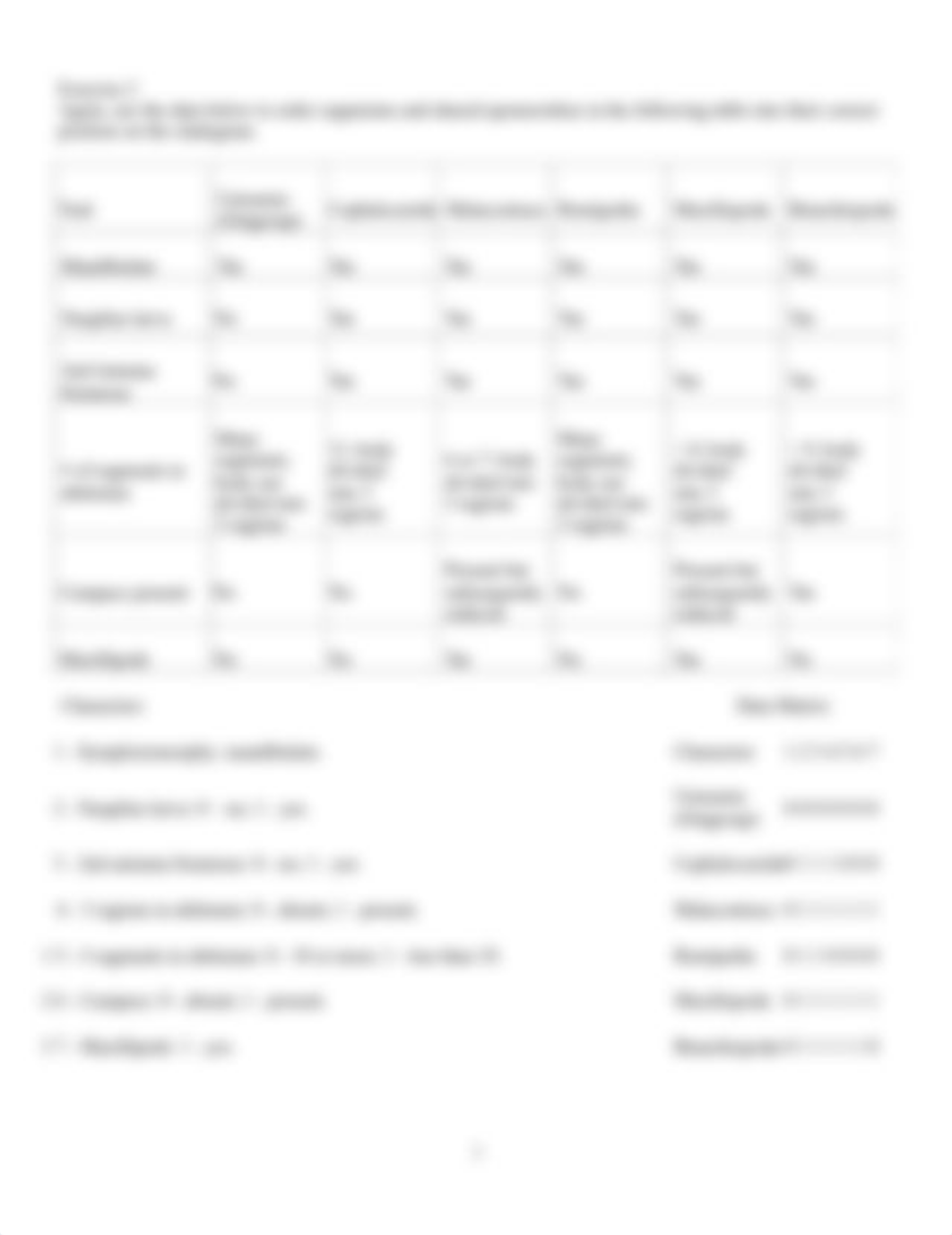 Constructing Cladograms.docx_dyj419le587_page2