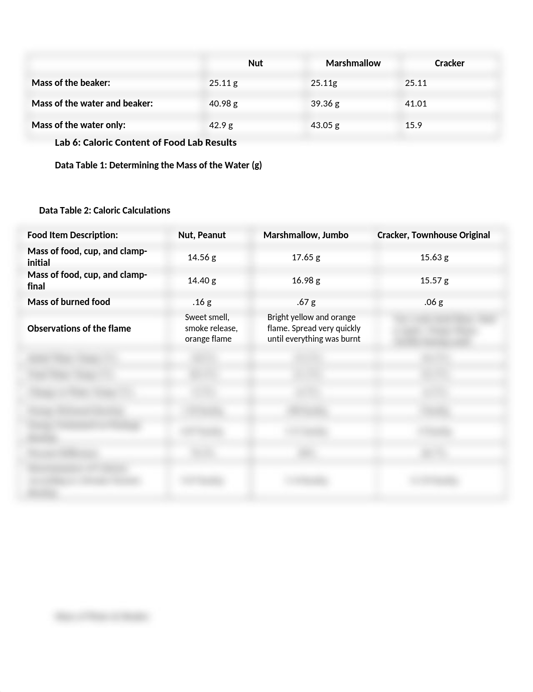 Caloric Content of Food Lab Results_dyjk550jkma_page1