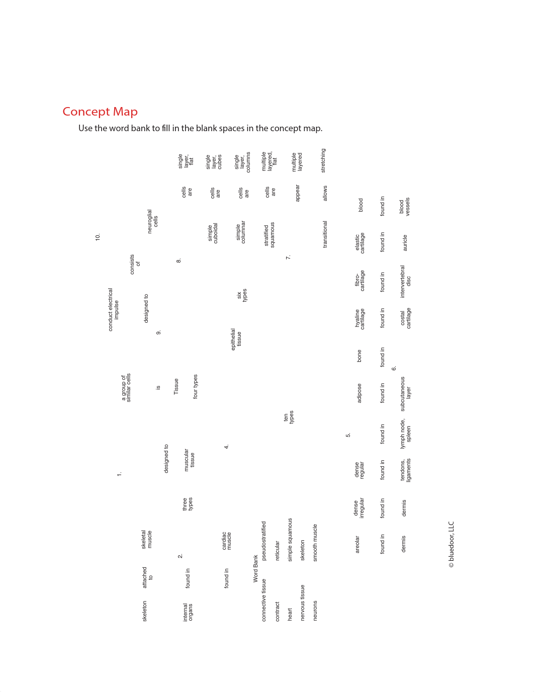 Tissues Concept Map.pdf_dyjqirtp0ti_page1