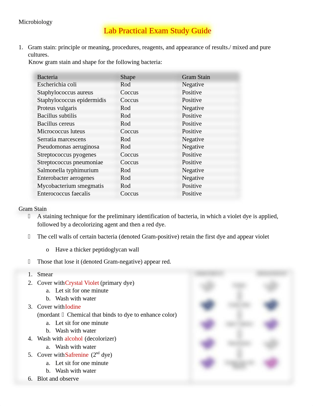 LabPracticalStudyGuide--SP (1).docx_dyjv1qhcz65_page1