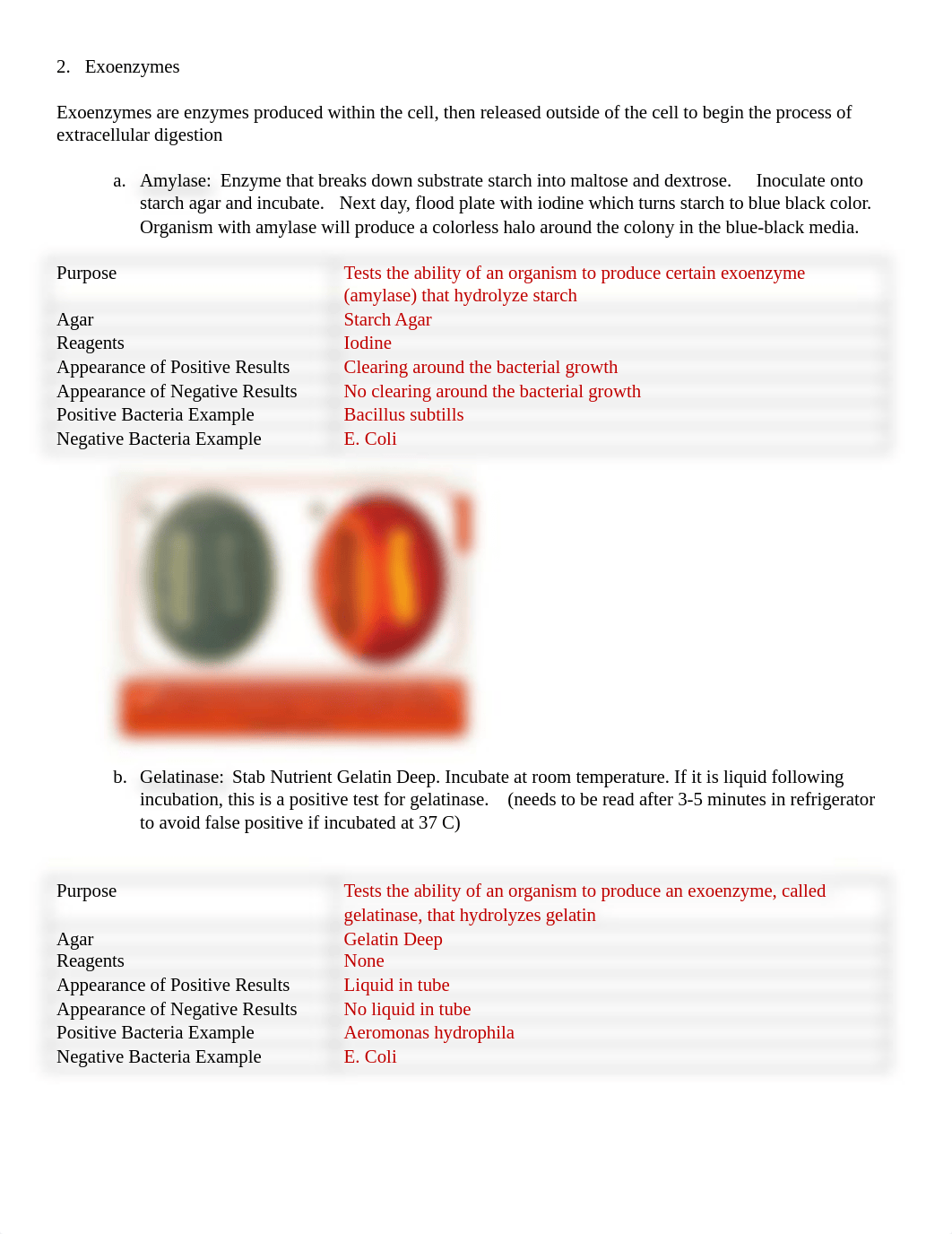 LabPracticalStudyGuide--SP (1).docx_dyjv1qhcz65_page2