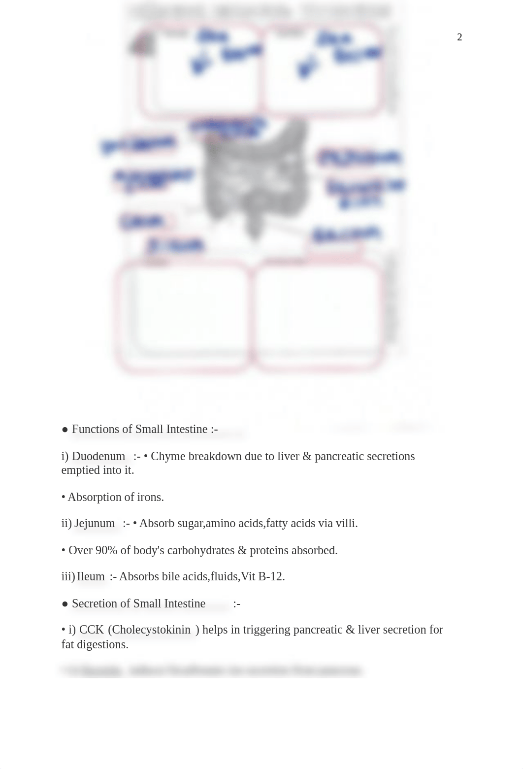 Chemical and Physical Digestion.pdf_dyjyf8yfu2e_page3